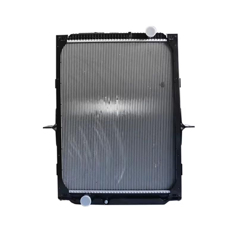 Motora Akcesoraĵo Radiatoro DZ91125328