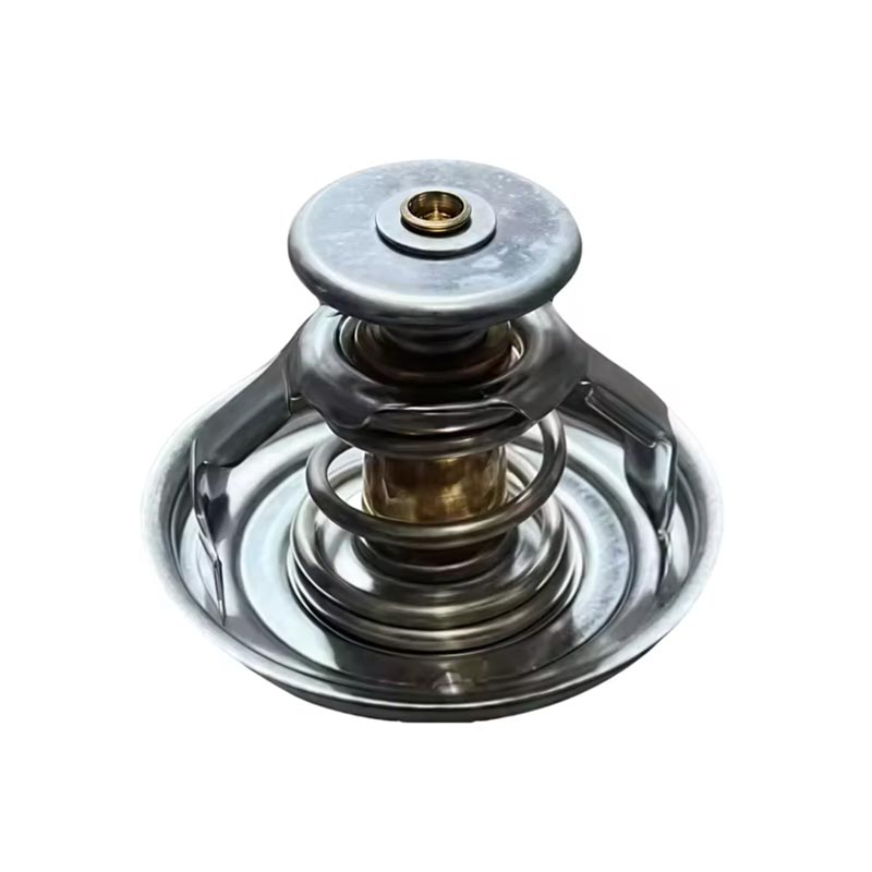 Kamiono Motoro Termostato 1000837830
